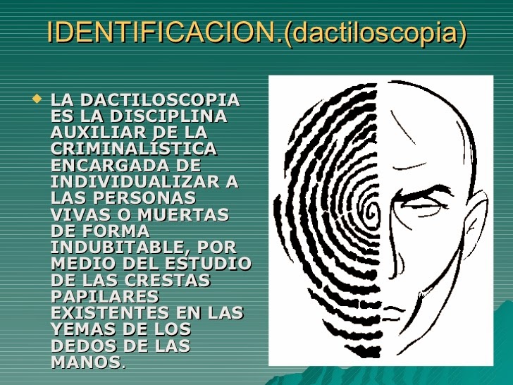 Dactiloscopia: DEFINICIÓN, IMPORTANCIA y USOS Clave