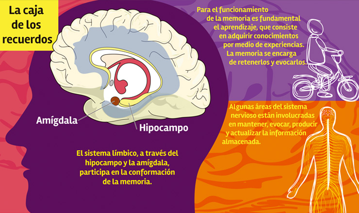 DEBACLES: Descubre su SIGNIFICADO y CONCEPTO Clave