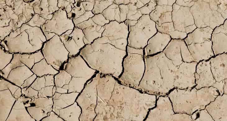 DEGRADACIÓN DEL SUELO: Cómo Combatirla Efectivamente
