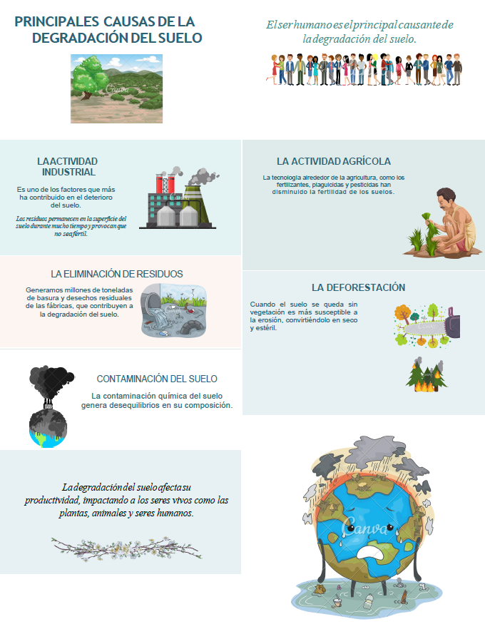 DEL SUELO: Cómo las ACTIVIDADES HUMANAS lo DEGRADAN