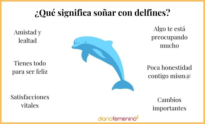 Delfín: SIGNIFICADO, CARACTERÍSTICAS y MÁS Qué Sabes