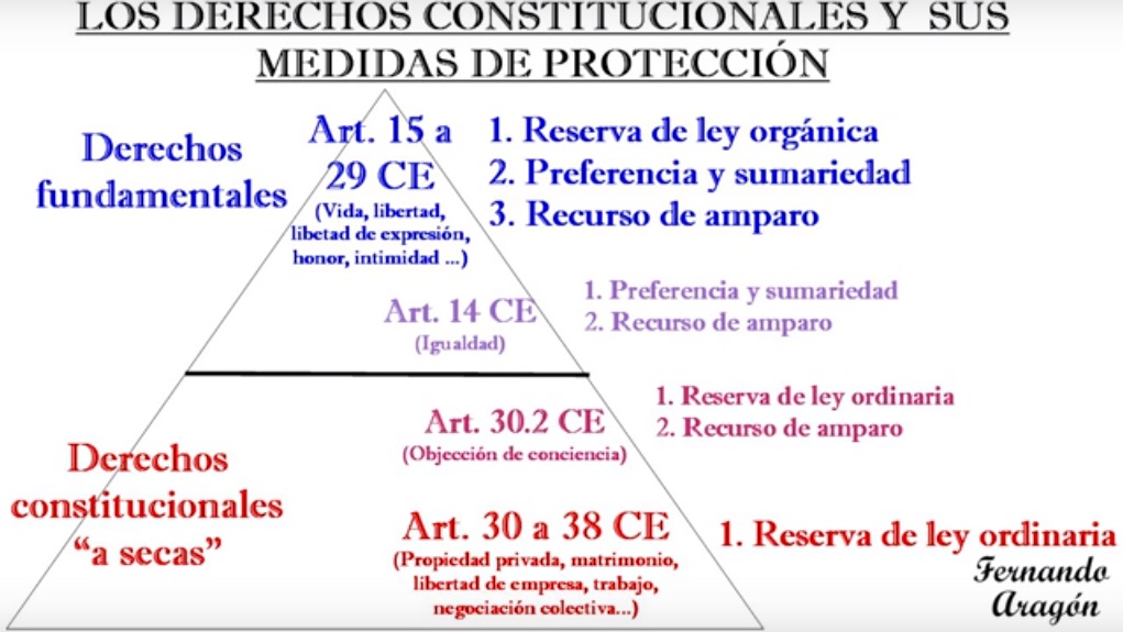 DERECHO CONSTITUCIONAL: Ejemplos y Conceptos CLAVE