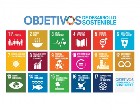 DESARROLLO SOSTENIBLE: Objetivos y Conceptos CLAVE