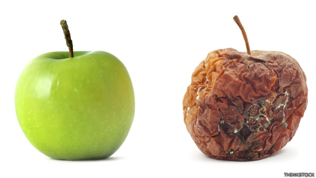 DESCOMPOSICIÓN DE ALIMENTOS: Por qué y cómo sucede