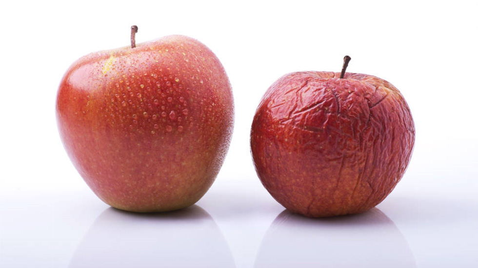 DESCOMPOSICIÓN DE LOS ALIMENTOS: FACTORES CLAVE QUE AFECTAN