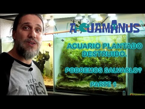 Desoxigenada: Descubre el PODER del Agua en el Cap. 25
