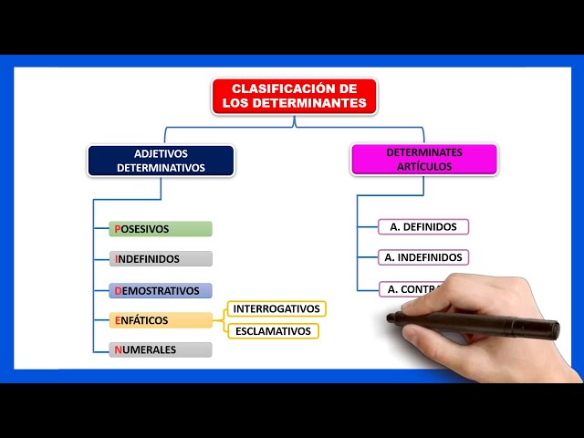DETERMINANTES: SIGNIFICADO, TIPOS y EJEMPLOS CLAROS