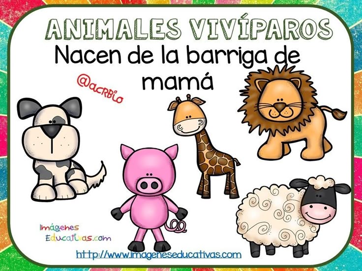 DIBUJO DE ANIMALES VIVÍPAROS Y OVÍPAROS: ¡DESCÚBRELOS!