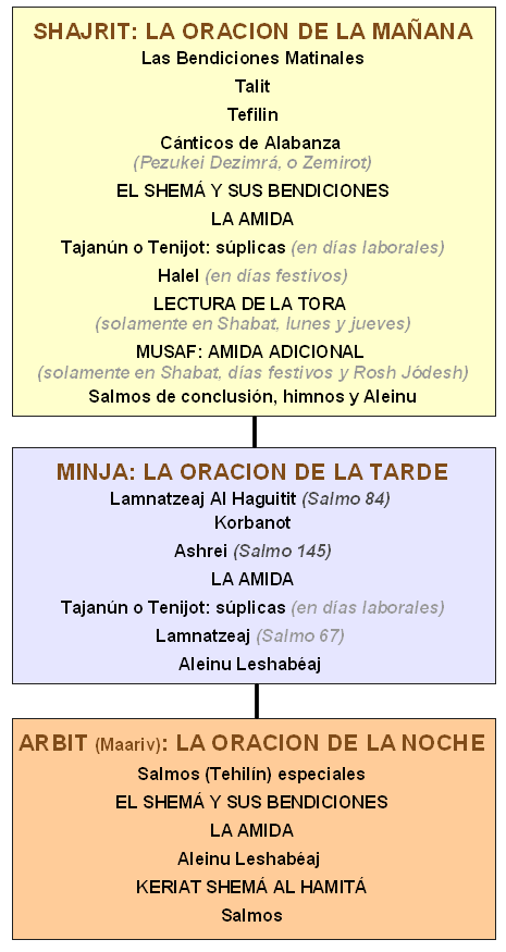 DOBLEGADO: Significado y CONCEPTOS CLAVE que Debes Saber