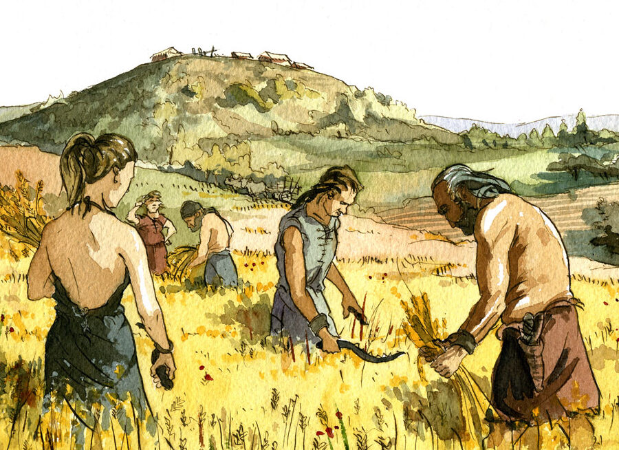 DOMESTICACIÓN DE PLANTAS Y ANIMALES: SU IMPACTO HISTÓRICO