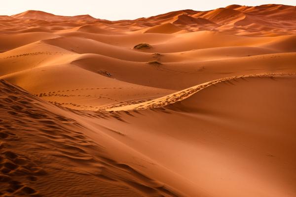 DUNAS: Descubre su SIGNIFICADO y CONCEPTO interesante