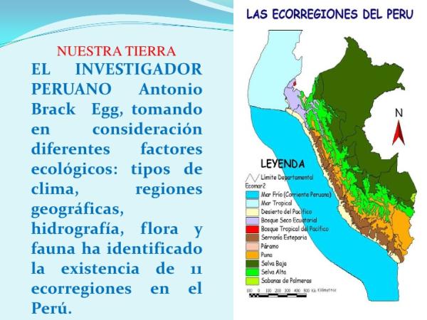 ECORREGIÓN: Descubre su DEFINICIÓN y CONCEPTO clave