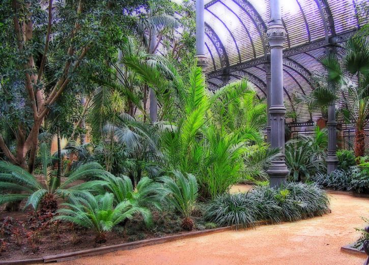 ECOSISTEMAS ARTIFICIALES: DEFINICIÓN y CARACTERÍSTICAS