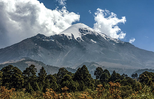 Ecosistemas de MÉXICO: Descubre su RIQUEZA ¡Increíble!