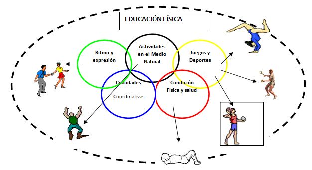 EDUCACIÓN FÍSICA: DEFINICIÓN y CARACTERÍSTICAS CLAVE