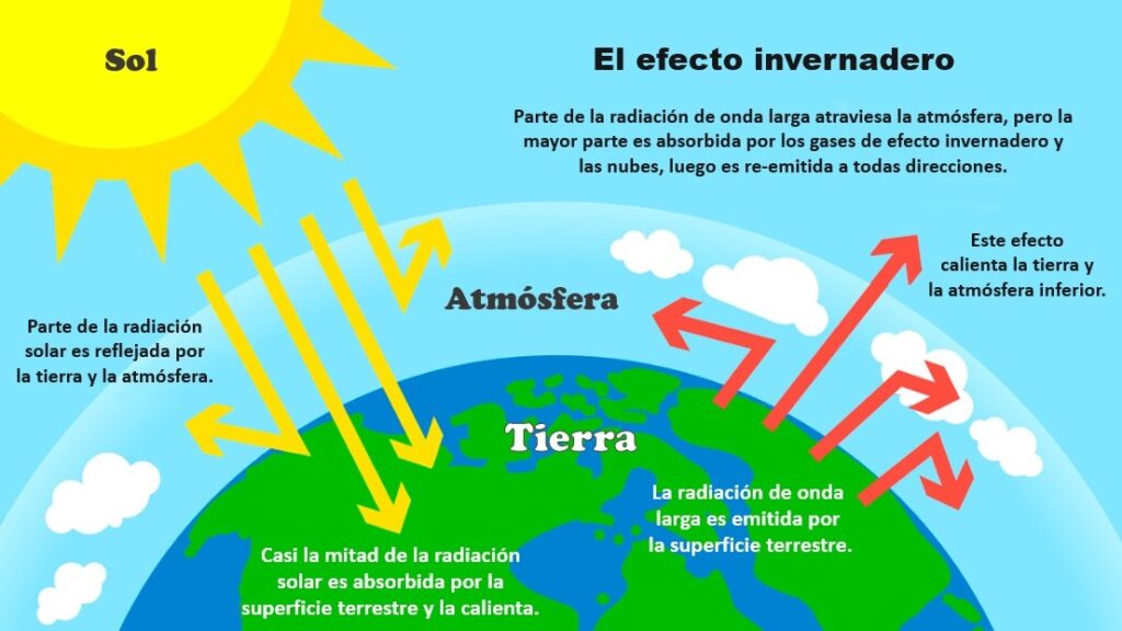 EFECTO INVERNADERO: CAUSAS y CONSECUENCIAS REVELADAS
