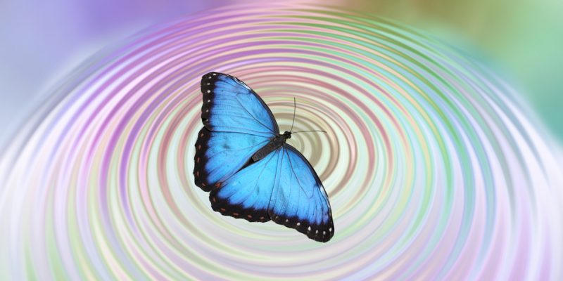 EFECTO MARIPOSA: CONCEPTO, HISTORIA Y APLICACIONES