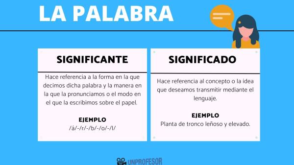 EJEMPLO DE CONCEPTO: DESCUBRE SU SIGNIFICADO CLARO