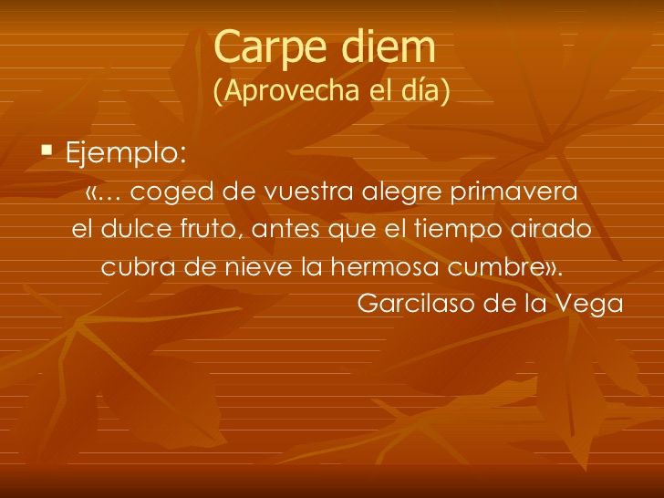 Ejemplo de TEXTO LITERARIO: 10 Ejemplos INSPIRADORES