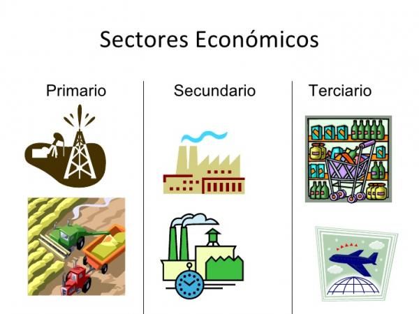 Ejemplos de ACTIVIDADES PRIMARIAS, SECUNDARIAS y TERCIARIAS