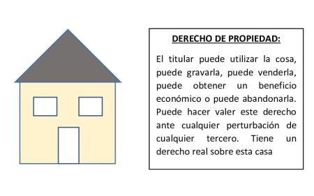 Ejemplos de DERECHO en la VIDA COTIDIANA: ¡Descúbrelos!