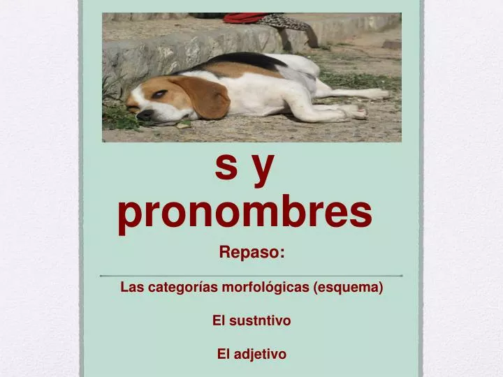 Ejemplos de DETERMINANTES POSESIVOS que IMPRESIONAN