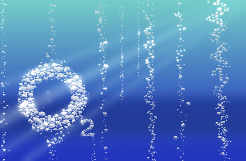 EJEMPLOS de ÓXIDOS BÁSICOS: ¡Descubre 20 Curiosidades!