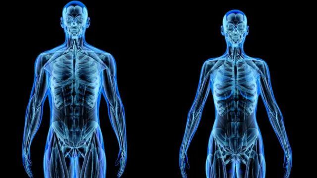 ELEMENTOS QUÍMICOS del CUERPO HUMANO: ¡Descúbrelos!