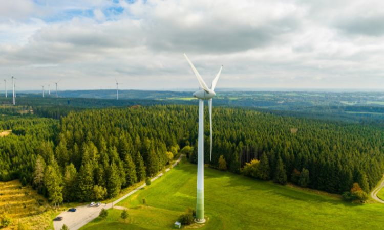 ENERGÍA EÓLICA: CONCEPTO, USOS Y VENTAJAS ¡DESCÚBRELA!