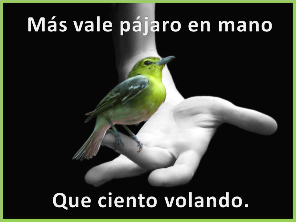 Es cierto que Más Vale PÁJARO EN MANO que Cien Volando