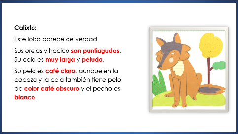 Es el lobito feroz un valiente o realmente un miedoso