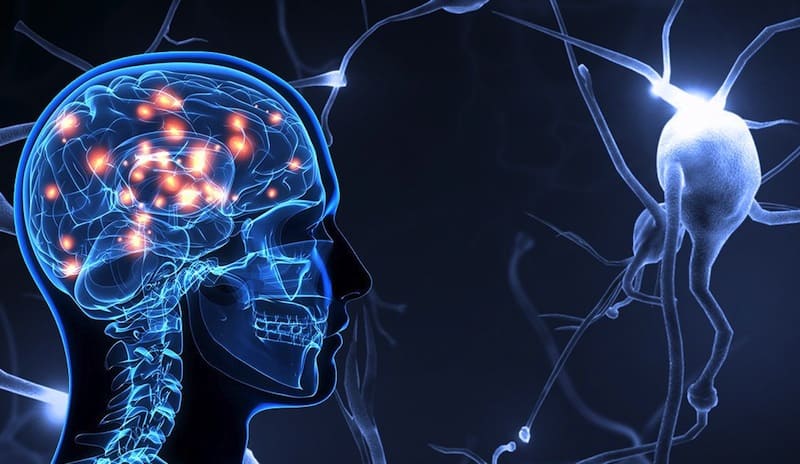 Es el paradigma cognitivo clave para entender la mente humana