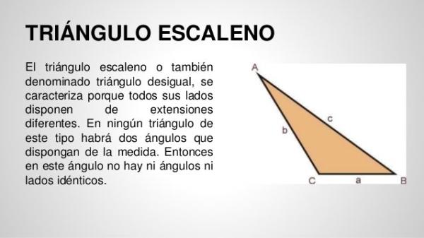 Escaleno: CARACTERÍSTICAS y TIPOS que Debes Conocer