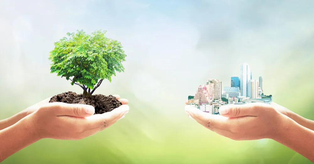 ESTABILIDAD de los ECOSISTEMAS: Claves para su FUTURO