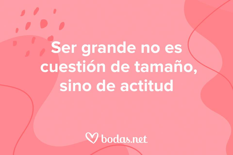 Estatus o Status Cuál es la verdad detrás de estas palabras