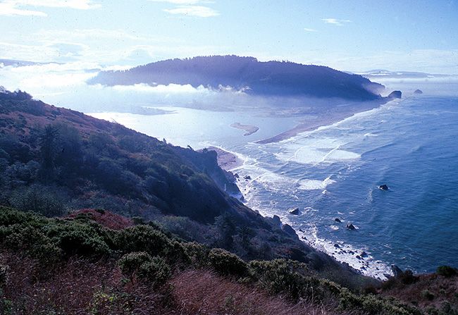 ESTUARIO: Definición, IMPORTANCIA y CONCEPTO CLAVE