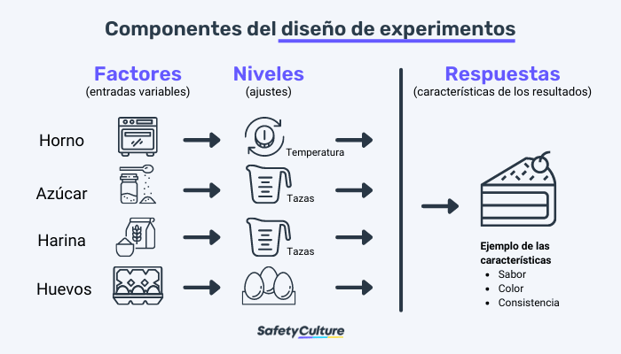 EXPERIMENTO: Qué es TIPOS y CARACTERÍSTICAS Esenciales