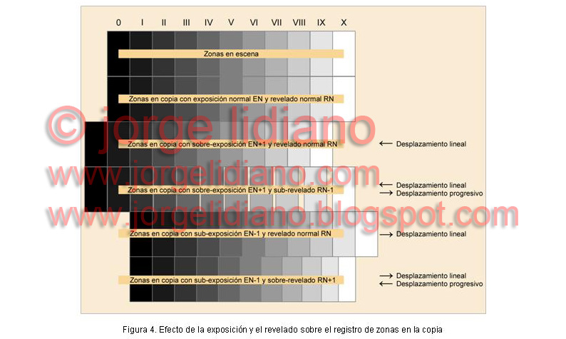 EXPOSICIÓN: Definición, Tipos y Ejemplos Reveladores