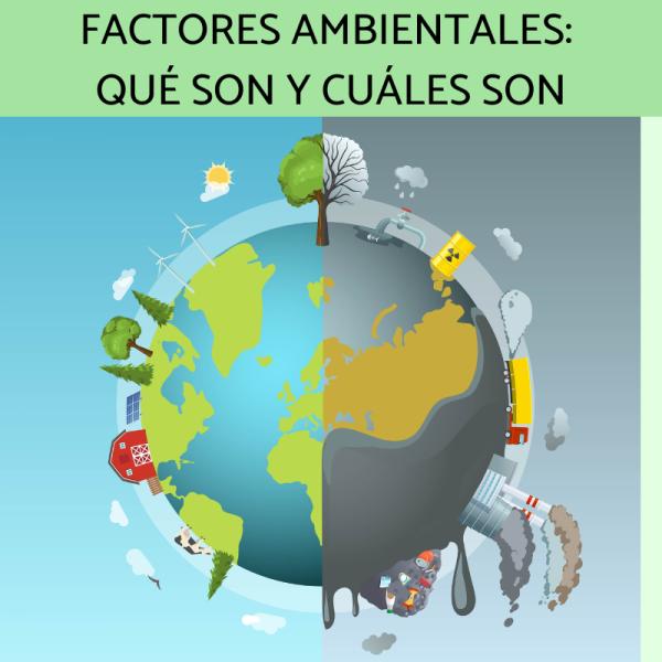 FACTORES QUE AFECTAN EL EQUILIBRIO ECOLÓGICO: DESCÚBRELOS