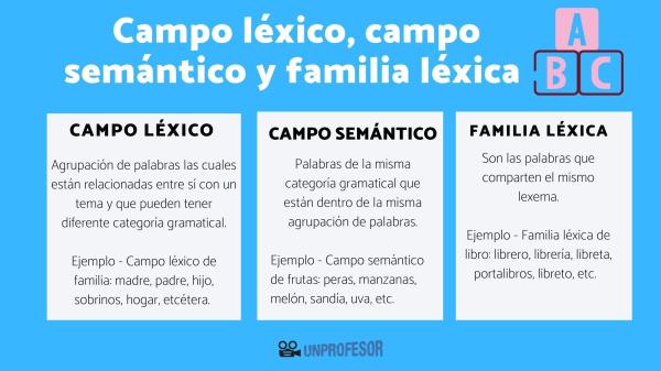 FAMILIA DE PALABRAS: Descubre CAMPO y sus Derivados