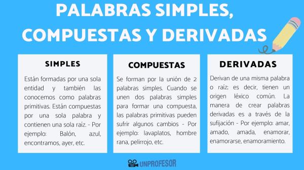 Familia LÉXICA de BARCO: Descubre PALABRAS Derivadas