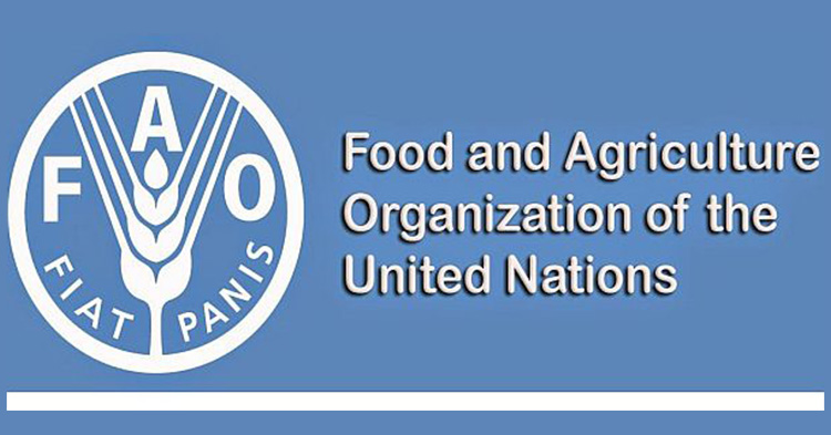 FAO: SIGNIFICADO, HISTORIA y HERRAMIENTAS ESENCIALES