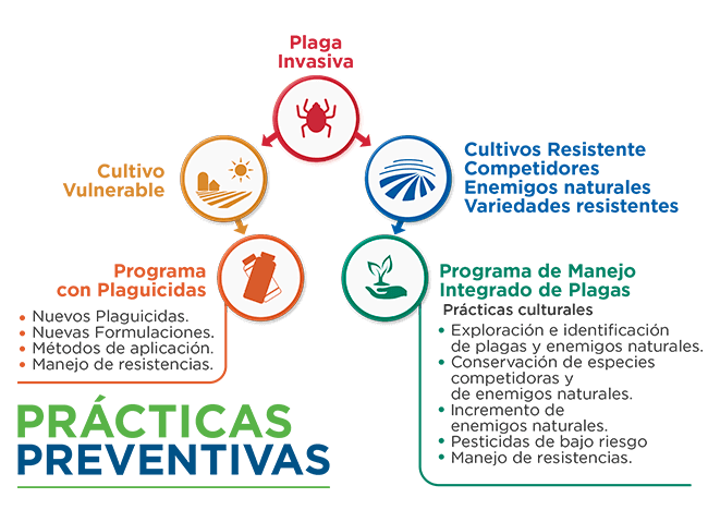 FERTILIZANTES y PLAGUICIDAS: Beneficios y Riesgos Clave