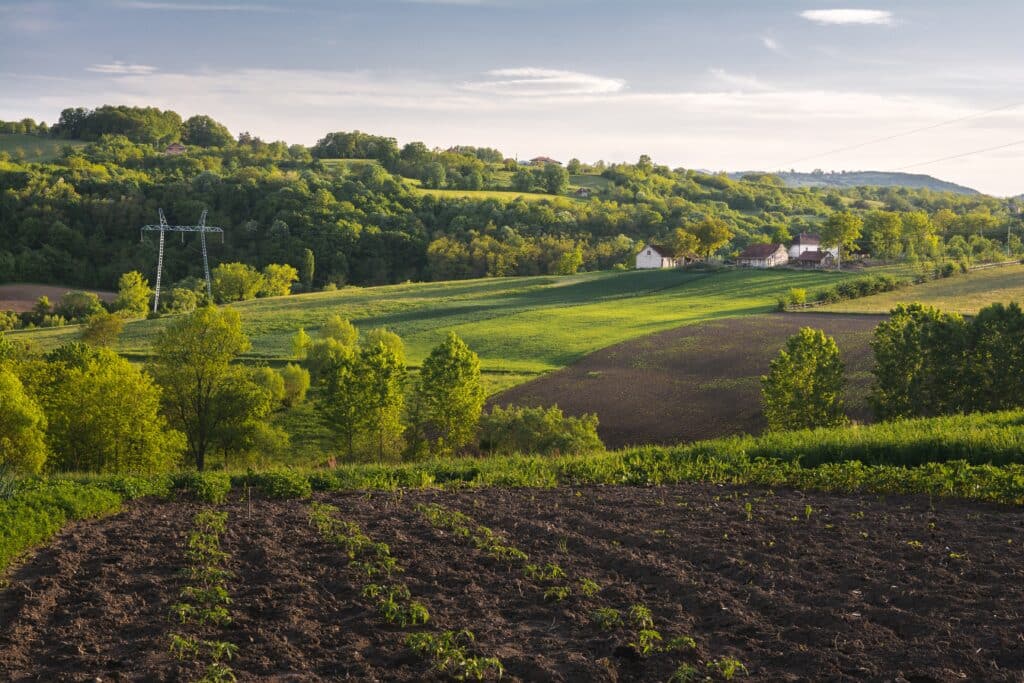 Finca: DEFINICIÓN y CONCEPTO CLAVE que Debes Saber