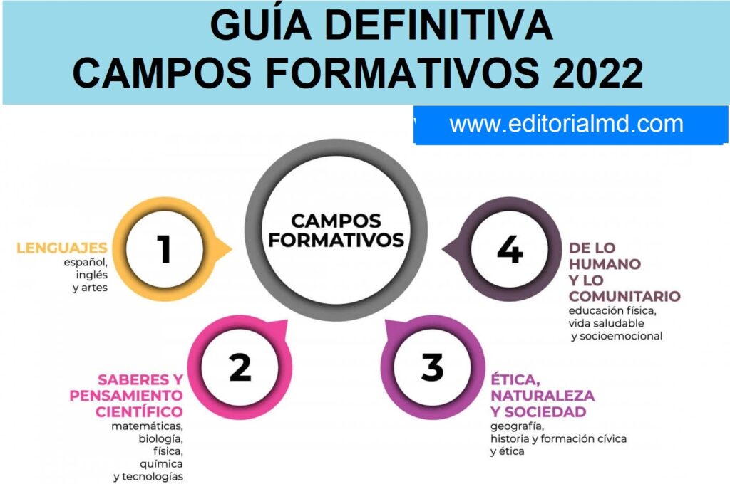 FORMACIÓN: Concepto, Tipos y Características Clave