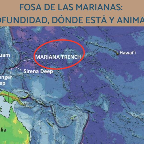 FOSAS DE LAS MARIANAS: Misterios y Maravillas Aprofundas