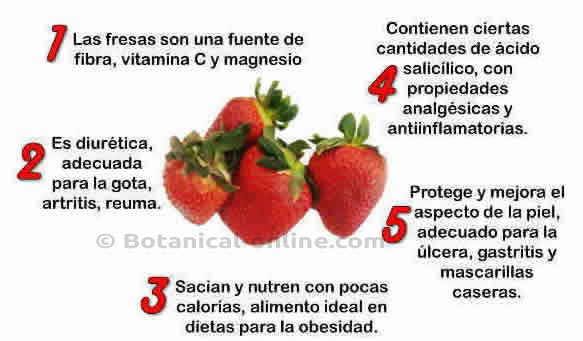 FRESA: PROPIEDADES, BENEFICIOS Y VITAMINAS ESENCIALES