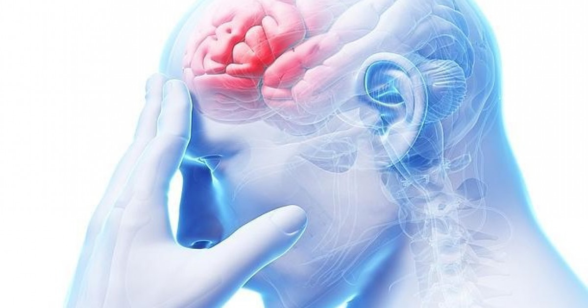FRONTAL: Definición y CONCEPTO Esencial que Debes Conocer