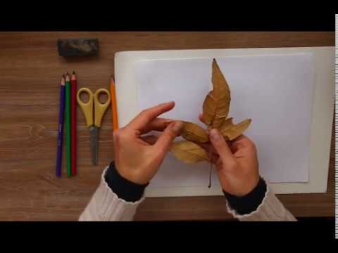 Frottage: cómo descubrir el arte oculto en texturas interesantes