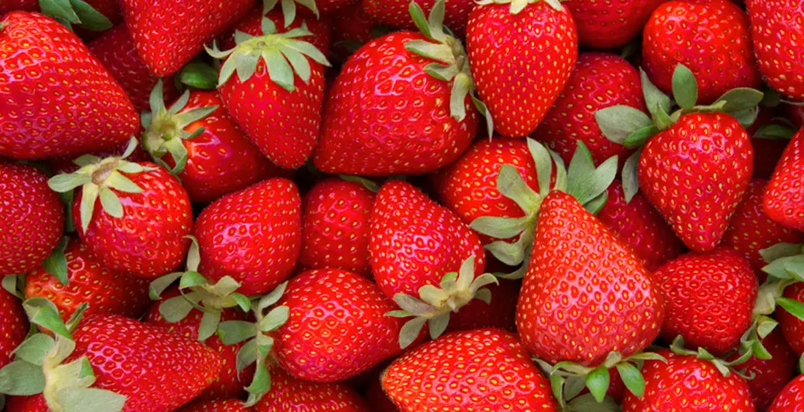 FRUTILLA: PROPIEDADES y BENEFICIOS que No Conocías